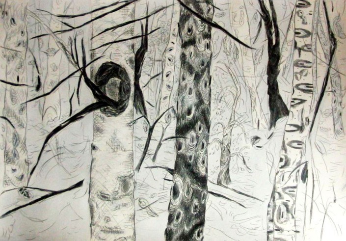 Anja Fell, "Forest", 2013, pencil and watercolours on cardboard, 70 x 100 cm